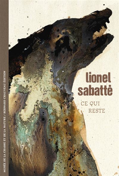Couverture Ce qui reste de Lionel Sabatté